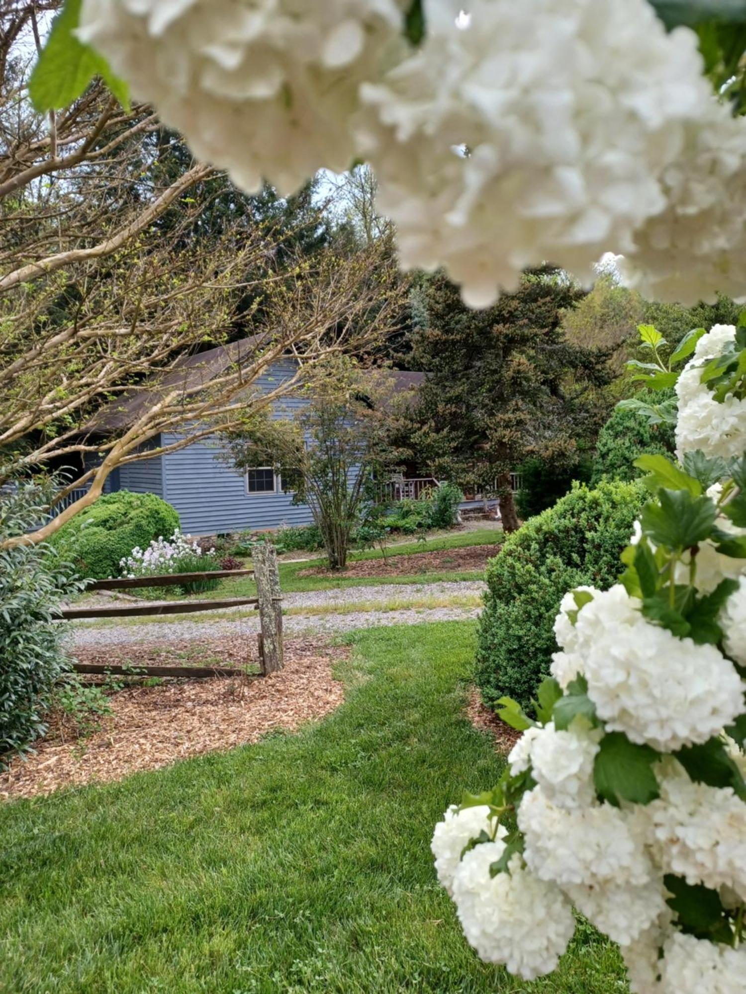 Restored1850S Log Cabin, With Gazebo And Gardens! 1 Mile To Downtown Вівервілл Екстер'єр фото