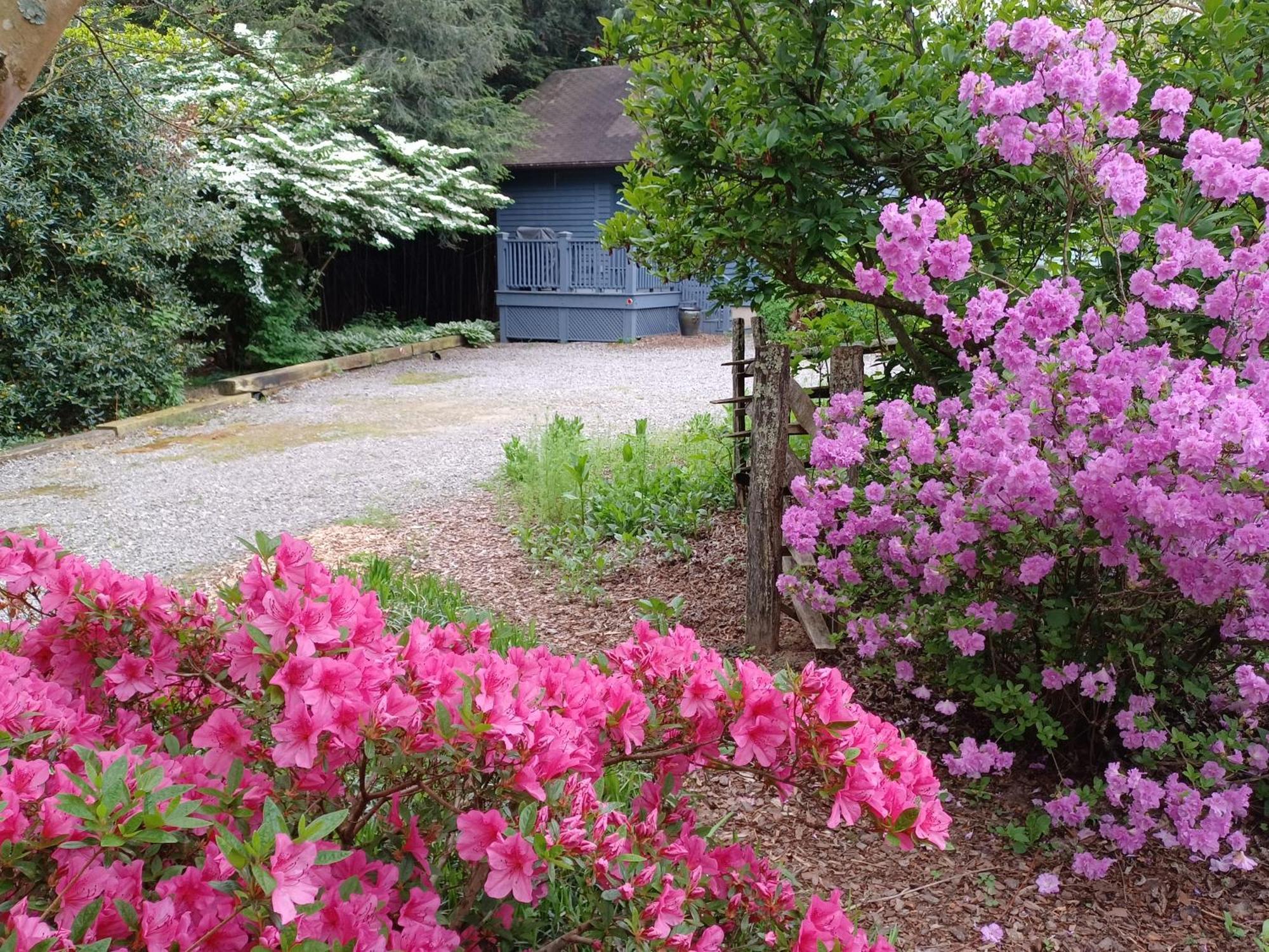 Restored1850S Log Cabin, With Gazebo And Gardens! 1 Mile To Downtown Вівервілл Екстер'єр фото