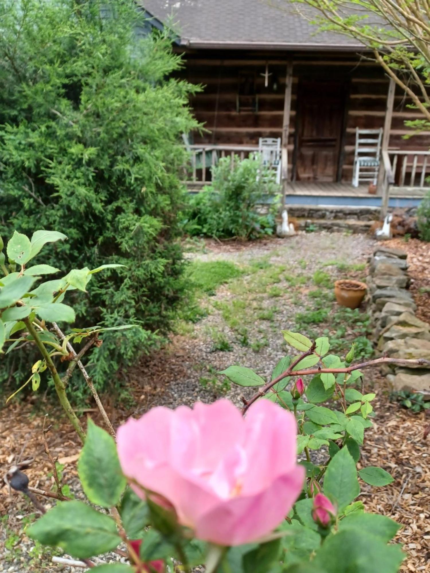 Restored1850S Log Cabin, With Gazebo And Gardens! 1 Mile To Downtown Вівервілл Екстер'єр фото