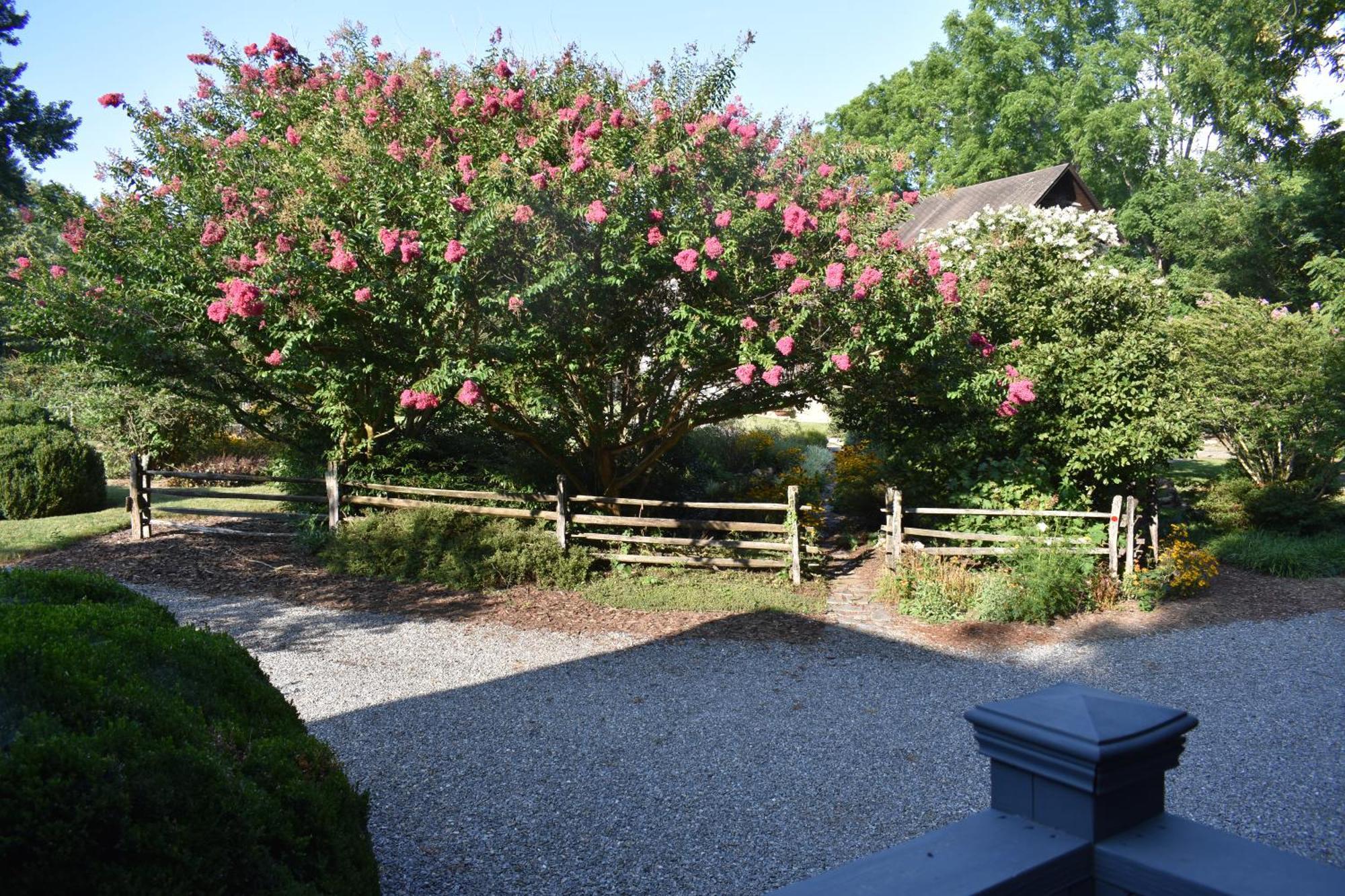Restored1850S Log Cabin, With Gazebo And Gardens! 1 Mile To Downtown Вівервілл Екстер'єр фото