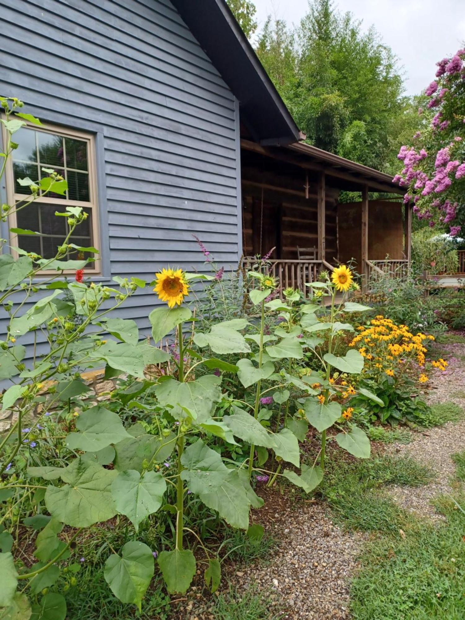 Restored1850S Log Cabin, With Gazebo And Gardens! 1 Mile To Downtown Вівервілл Екстер'єр фото